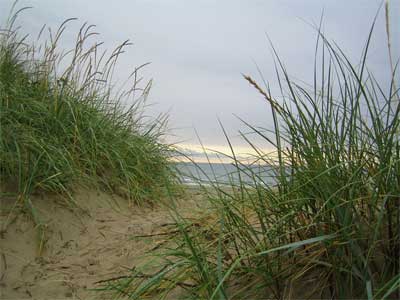 Strand3