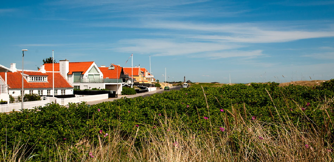 skagen850