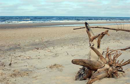 strand_4116