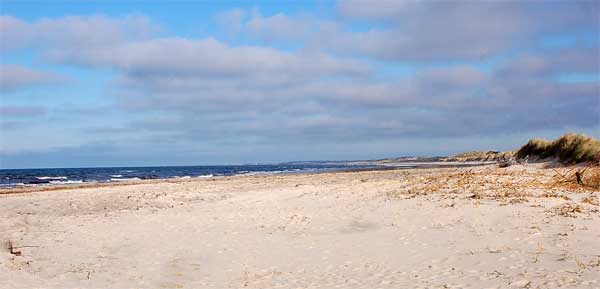 tversted_414902
